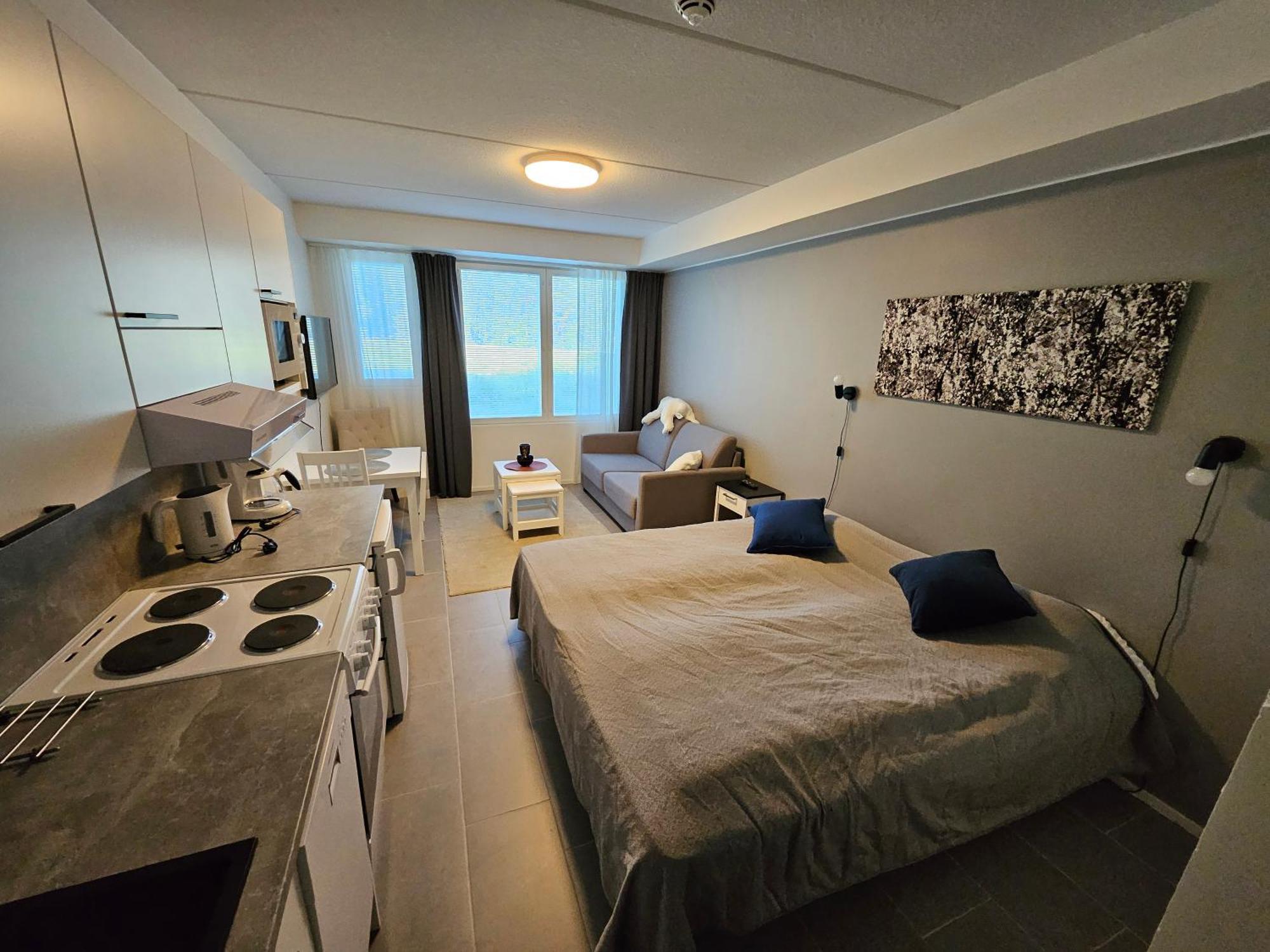 Levillenet Studio Apartment At Levi City Centre Экстерьер фото